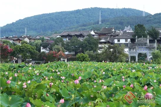 文山州8个乡（镇）、6个村庄拟入选2022年云南省绿美乡镇、省级绿美村庄建议名单