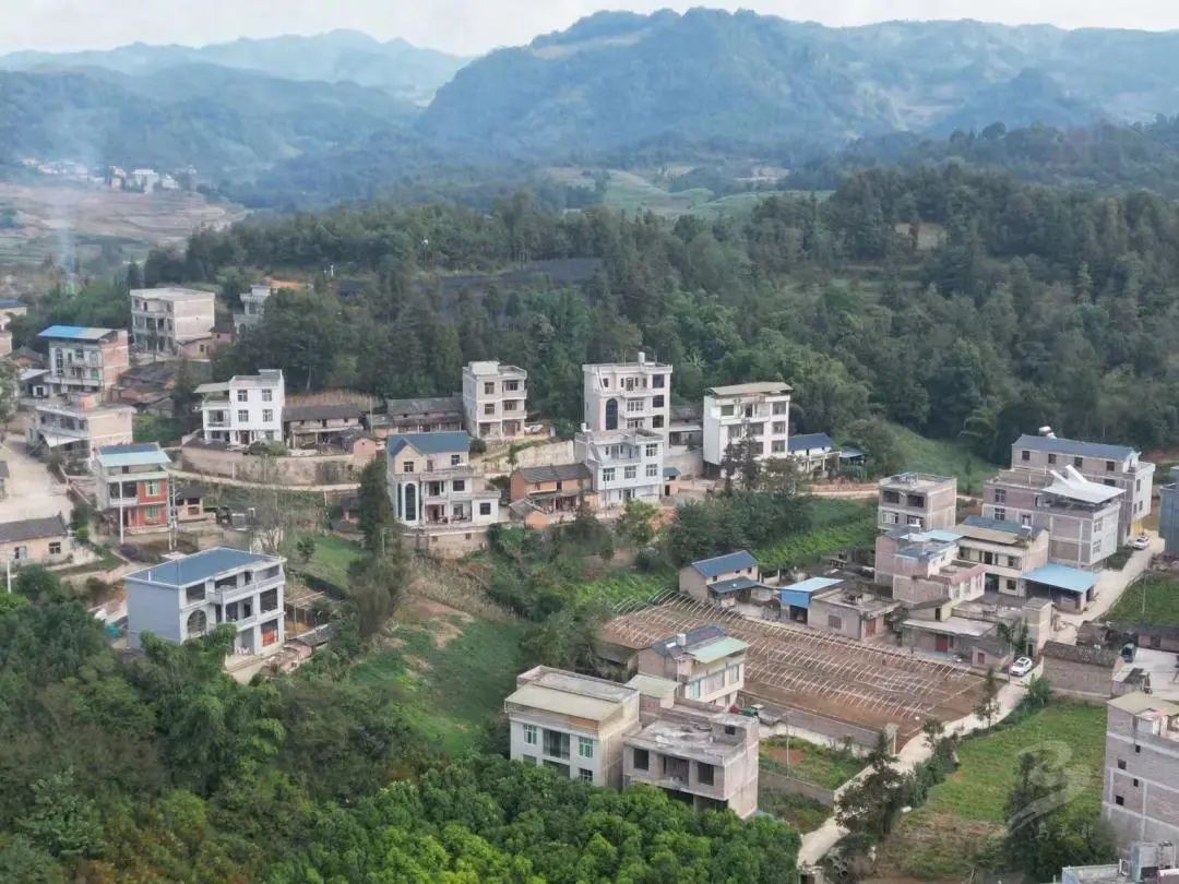 【乡村振兴】马白镇：新发寨村“三个围绕”建设文明绿美村庄