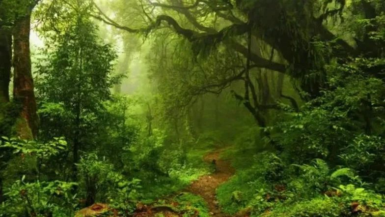 丘北县平寨乡入列2022年国家级森林康养试点建设