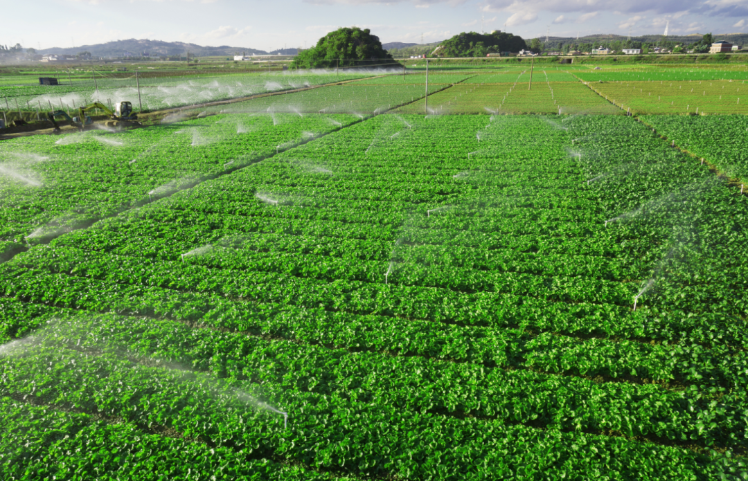 点赞！文山州两县被命名为国家农产品质量安全县