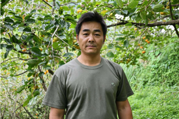 【抓落实 开新局】文山市这颗“甜蜜果”远销俄罗斯、东南亚!