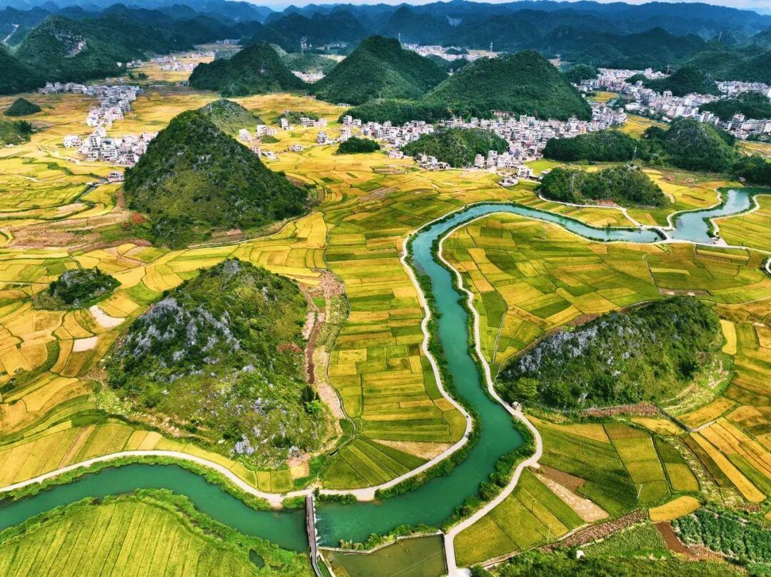 广南八宝:稻田秋收”丰景”美如画
