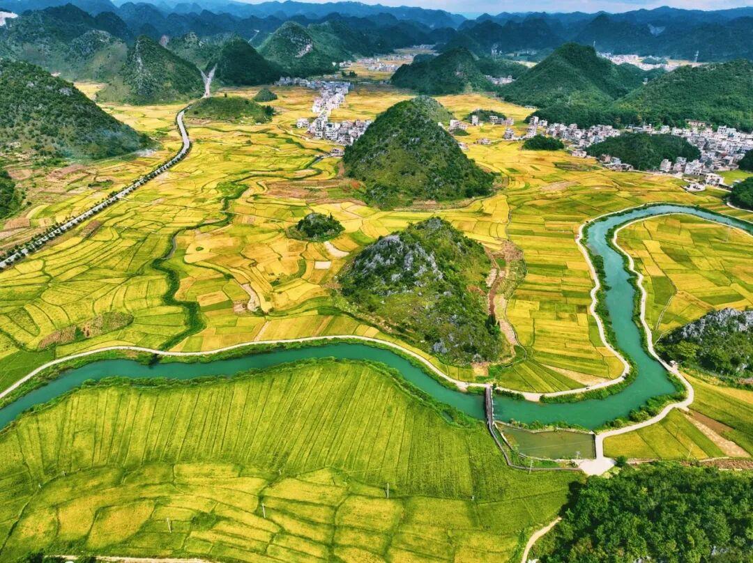 广南八宝:稻田秋收”丰景”美如画