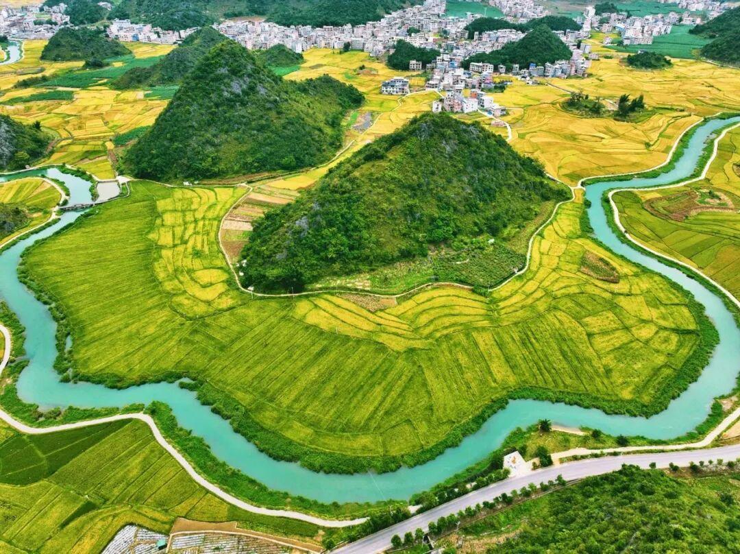 广南八宝:稻田秋收”丰景”美如画
