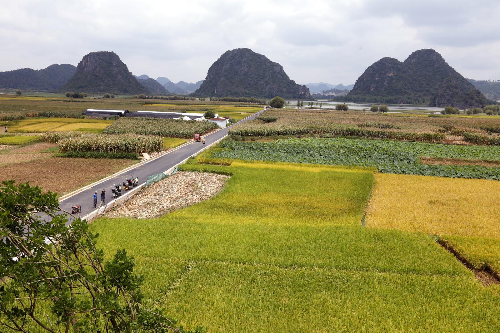 产业造血+文旅破局!中船集团助力丘北乡村焕发新机