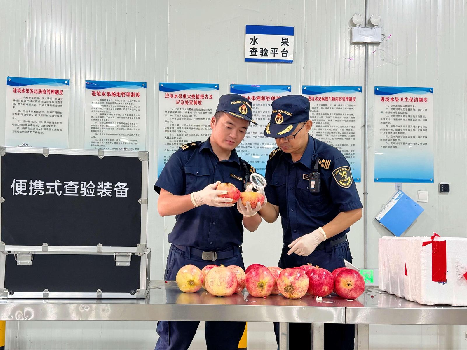 文山鲜石榴首次出口越南