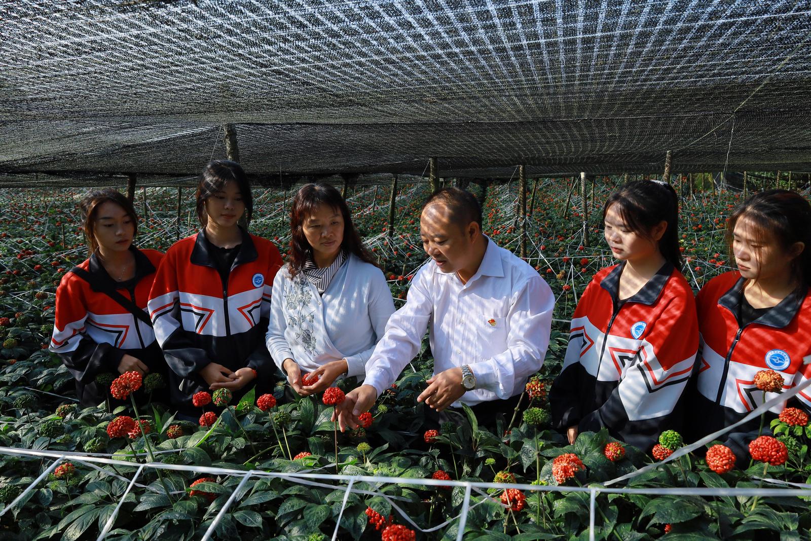 师者如光 微以致远|曾应江:把论文写在边疆大地上