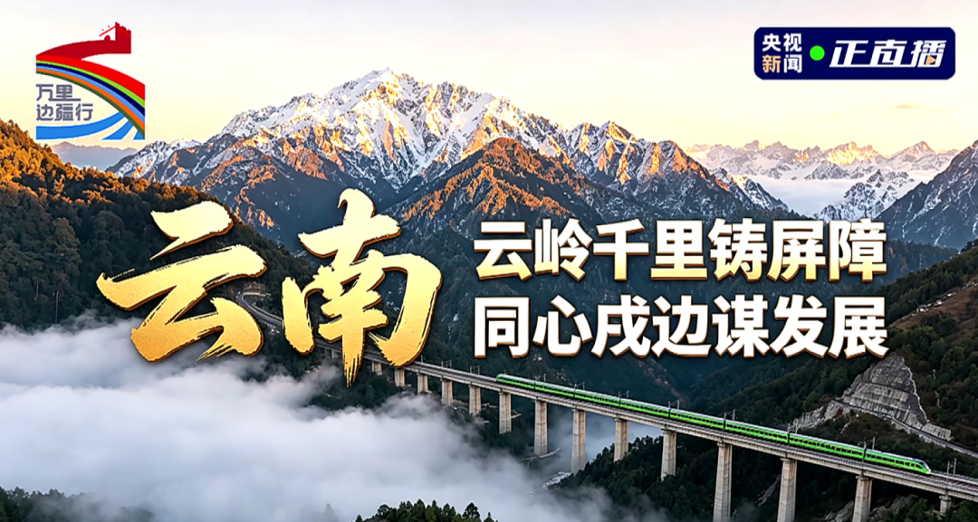 央视直播节目《万里边疆行》报道麻栗坡天保口岸